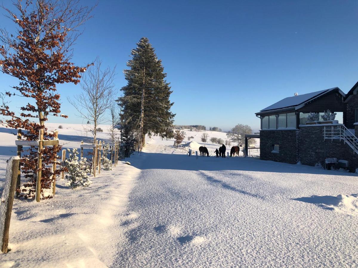 B&B Pegasus II - Chambre Familiale De Luxe Avec Sauna Privatif Vielsalm Buitenkant foto